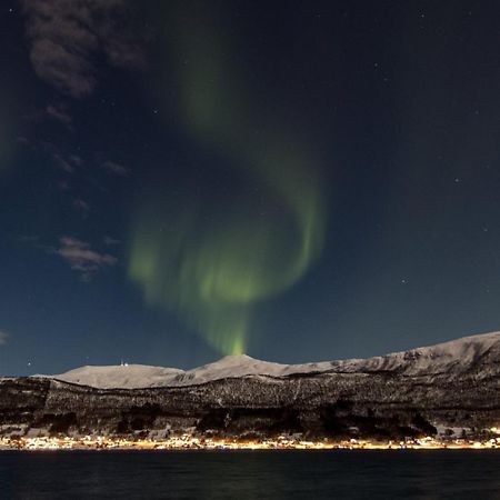 Veien Til Senja Daire Finnsnes Dış mekan fotoğraf