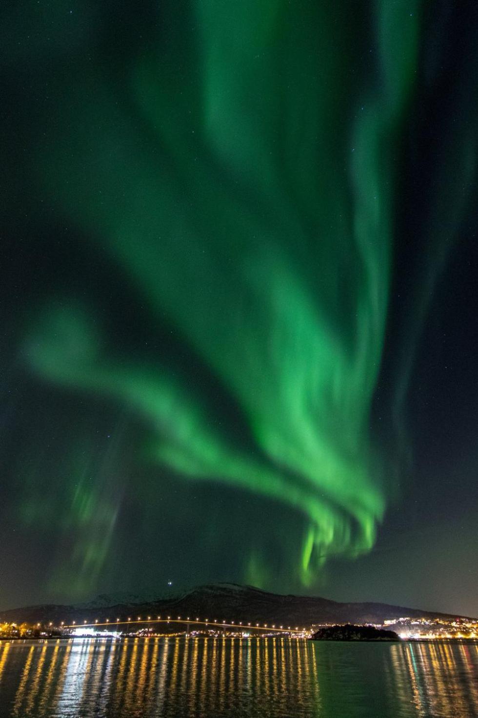 Veien Til Senja Daire Finnsnes Dış mekan fotoğraf